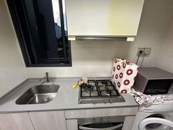 The Luxurie (D19), Condominium #502242471